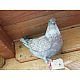 Pigeons Triganini de Modène prêts à reproduire-1